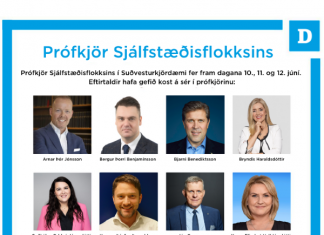 Prófkjör Sjálfstæðisflokksins