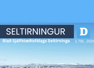 Seltirningur 2025